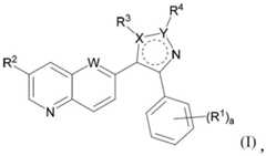 Figure BDA0003109483470000311