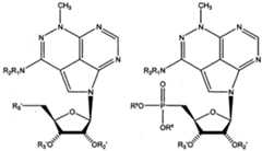 Figure imgf000011_0002