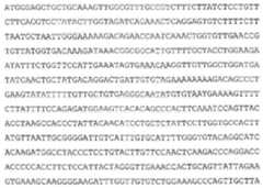 Figure 2022023184000006