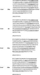 Figure BPA00001481527000361