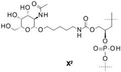 Figure BDA0002550837380000081
