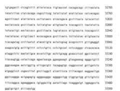 Figure 108131991-A0202-12-0215-923