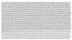 Figure imgf000075_0001