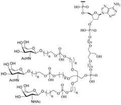 Figure 112016114379466-pct00093