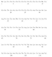 Figure 105135184-A0305-02-0227-192