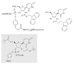 Figure imgf000160_0001