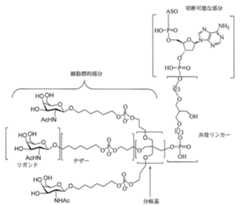 Figure 0007429103000215