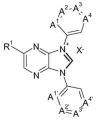 Figure 112020143667216-pat00056