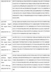 Figure imgf000071_0001