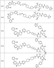 Figure BDA0003783300830002151