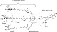Figure AU2017203436B2_D0245