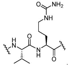 Figure imgf000036_0001