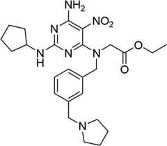 Figure BDA0000075082050001292