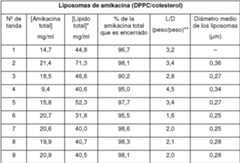 Figure imgf000021_0001