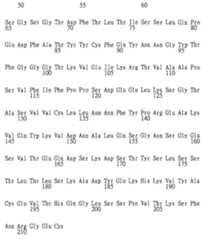 Figure TW201943729A_D0386