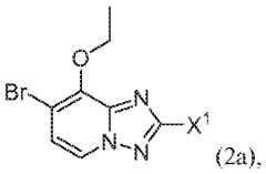 Figure imgf000104_0001