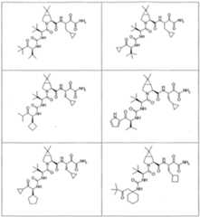 Figure imgf000160_0001