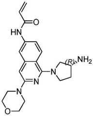 Figure BDA0003549429610001361