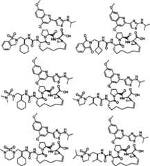 Figure A20048003994700531