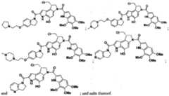 Figure imgf000012_0001