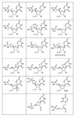 Figure imgf000012_0001