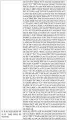 Figure BDA0004033970230007481