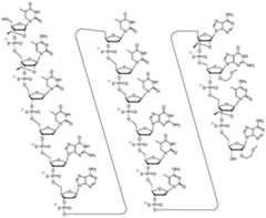 Figure imgf000025_0001