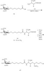 Figure US10927372-20210223-C00256