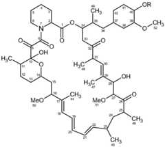 Figure FDA0002631157650000012