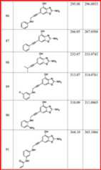 Figure DEST_PATH_IMAGE074