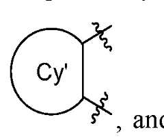 Figure imgf000335_0005