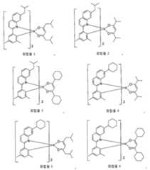 Figure 112013000223319-pat00014