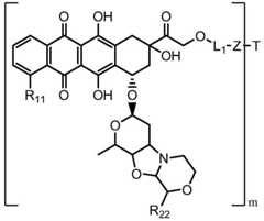 Figure BDA0001019050260000561