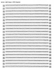 Figure imgf000095_0001