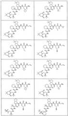 Figure imgf000337_0001