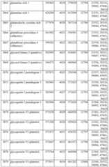 Figure imgf000338_0001