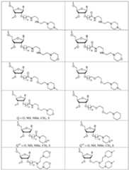 Figure imgf000036_0001