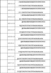 Figure JPOXMLDOC01-appb-T000030