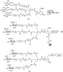 Figure BDA0003018192690003891