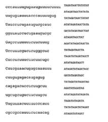 Figure imgf000405_0001