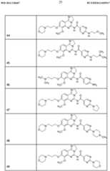Figure imgf000026_0001
