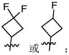 Figure FDA0004216827470000036