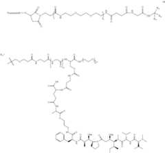 Figure US11135307-20211005-C00416