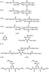 Figure A20071010737500541