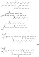 Figure imgf000022_0001