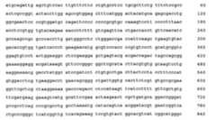 Figure 108128641-A0202-12-0359-782