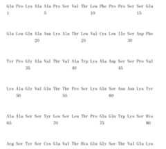 Figure 105123965-A0305-02-0228-201