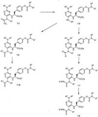 Figure imgf000061_0001
