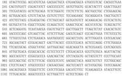 Figure GDA0002288445510000031