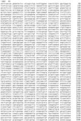 Figure IDA0002536600790000581